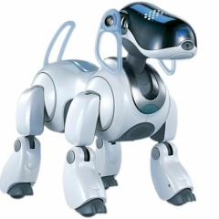 I, Smart Dog Robot