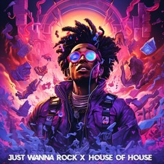 Just Wanna Rock x House Of House (BIGMOO Mashup) - Lil Uzi Vert vs DVLM, Vini Vici & Cherrymoon Trax