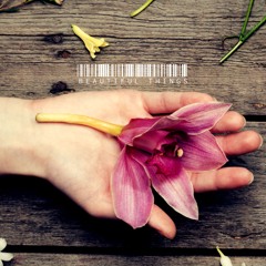 Caedmon Rigby & Wild Christopher- Beautiful Things