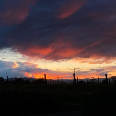 Da quando non ci sei