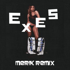 Exes (Merik Remix)