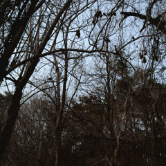 Drumscapes: Improvised 1