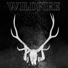 Wildfire - FAWNA & Aspen King