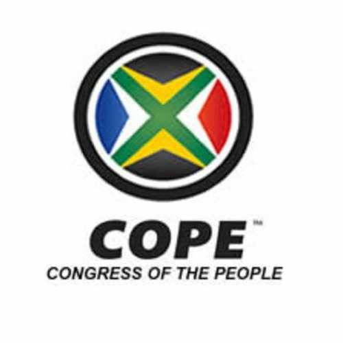 Do small parties such as COPE still have a role to play in SA politics?