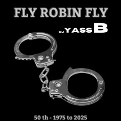 Fly Robin Fly (remix)