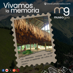 Vivamos la memoria Capsula 444:  Las Caneyas, un recuerdo del tabaco.