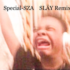 Special-SZA (SLÄY Remix)