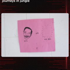 Journeys In Jungle on infrared.fm - 26.01.25