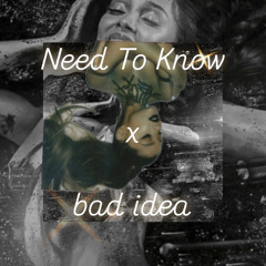 Need To Know A Bad Idea (Doja Cat & Ariana Grande Mashup)