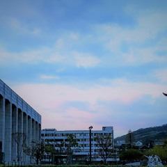 권나무 - 광장에서(In the square)_demo