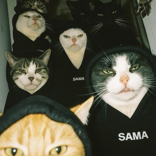 Go (Prod.Rayne Luckain & Fxzo)