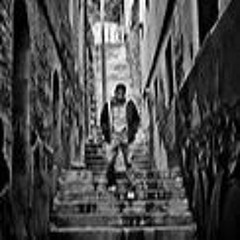 HD- Trails & Tribulations