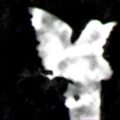 StrangeStoryFantasy