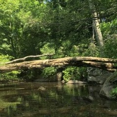 Believe Me (ft.ColeMine)