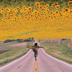 Follow my own path