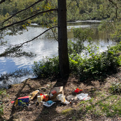 Hallå kom tillbaka / ur serien SKRÄPKÖREN