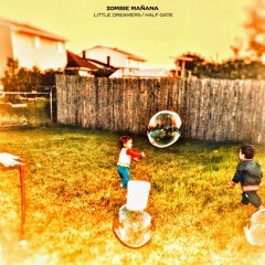 Half Gate (Grizzly Bear cover)