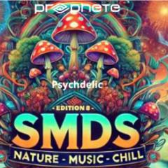 Prophete @ SMDS 2025 - psytrance set