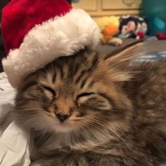 TEYA SELENA Ho Ho Ho🎅🎅 speed!! (NOT MINE)