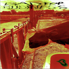 baby (grace and kyle)