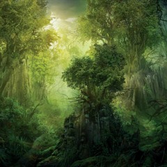2. cultivation