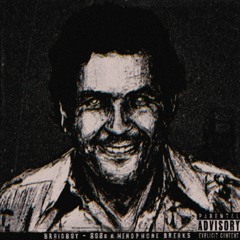 808s & Headphone Breaks