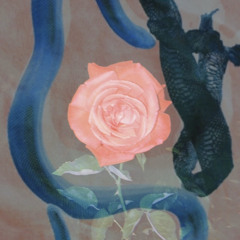 Shedding and receiving blessings meditation