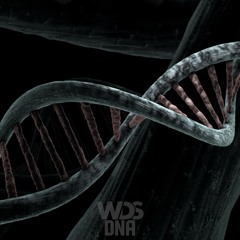 W.D.S - DNA