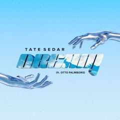 Dream (ft. Otto Palmborg)