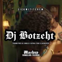 DJ BOTZEHT-AYRA STARR X SHEENSEA X 046 MASHUP 2025