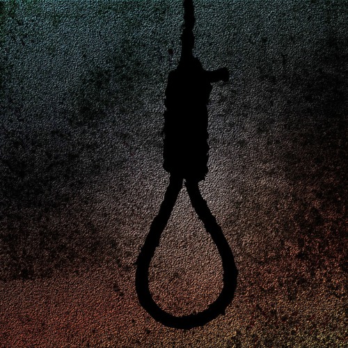 Tie The Noose