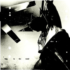 Bag in the Wind (prod. caruso)