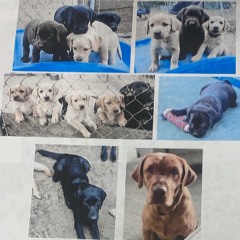 LeaveThatBitchOnRead