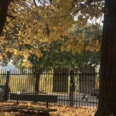 Indifferenza Universale