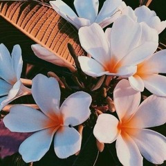 COMPILA PLAYLIST