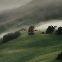 the triangle - iree lee