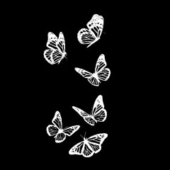 monarch
