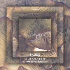 Palmiz - Itaka (Manoova & Matu Remix) (Snippet)