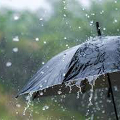 Rulings and Benefits Connected to the Decending of Rain--Abu Musa Raha Batts