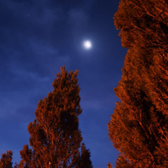 CoDy CaIn - lilSynthGroove#9