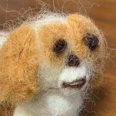 Across The Universe (acoustic cover)