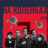 №36 Смотри сюда — Джентельмены, COVID-19, Переносы, I Am Not Okay with This, Жизни матрешки