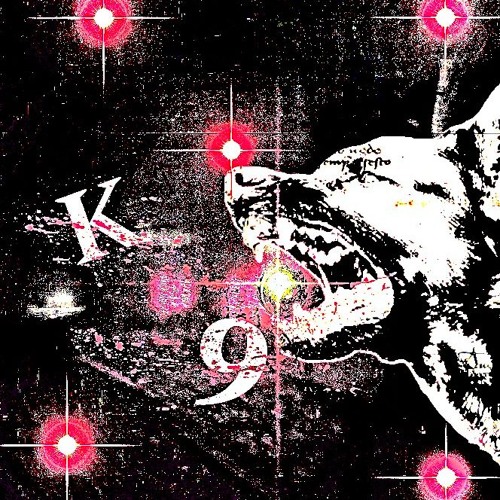 K9 ft Slidetomycrib