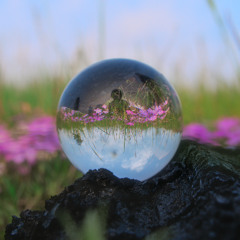 Feathering ('smokin that bug pack' edition)