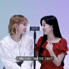 아이즈원 은비, 채원 팅글인터뷰 asmr