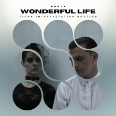 Hurts - Wonderful Life (Tioan Interpretation Bootleg) [FREE DOWNLOAD]