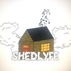 WELCOME TO SHEDLYFE