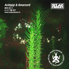 Alzaya Radio w/ Acidgigi & Amarcord - Radio Raheem - 03.11.2021