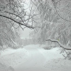 Winter (Prod. by JGW & Snowbear)