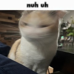:3